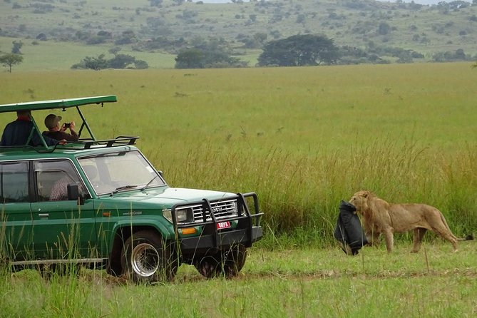 3-Day Murchison Falls National Park - Adventure Safari - Should you book it?