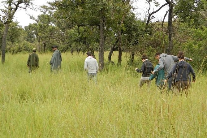 3-Day Murchison Falls National Park - Adventure Safari - The Victoria Nile by boat
