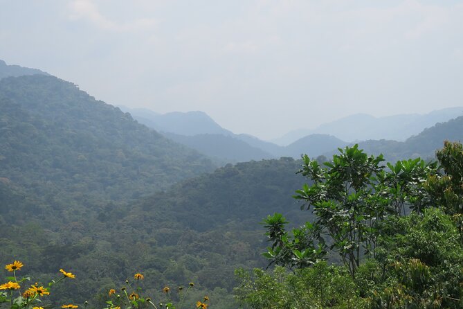 3 -Day Private Gorilla Trekking Safari in Bwindi Forest - The private format and the people behind it