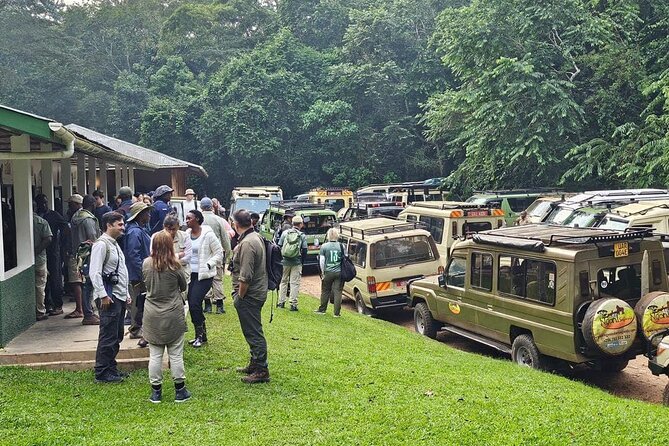 3-Day Private Guided Gorilla Trekking In Uganda - Day 3: Returning to Kampala or Kigali