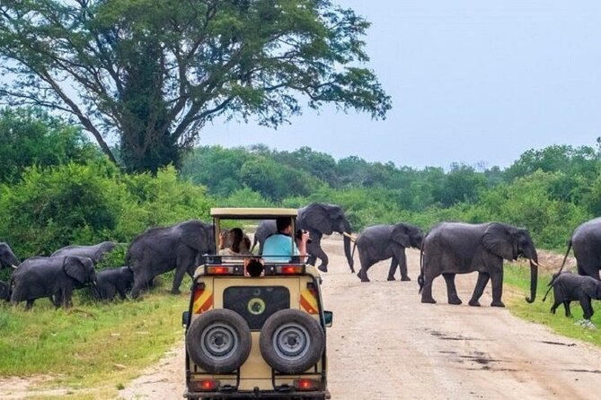 3-Day Safari in Queen Elizabeth National Park Uganda from Kampala - Why Queen Elizabeth National Park makes a strong three-day safari
