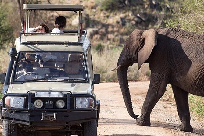 3-Day Safari in Queen Elizabeth National Park Uganda from Kampala - Guides, service, and the human side of the trip