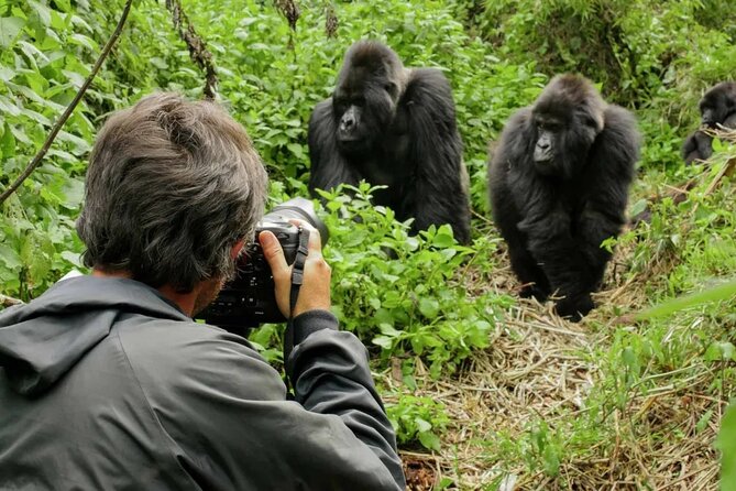 3 Day Uganda Gorilla Trekking and Batwa Pygmies Experience - The Batwa question needs a clear answer