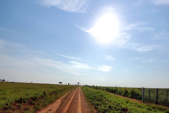 3 Days 2 Nights, Murchison Falls And Wildlife Safari - The roar of the falls after the animals