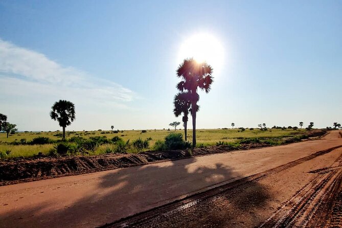 3 Days 2 Nights, Murchison Falls And Wildlife Safari - Day 3: the long ride back to Kampala