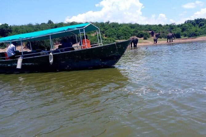 3 Days Best of Queen Elizabeth National Park Wildlife Tour - Day 2: Kasenyi game drive at first light