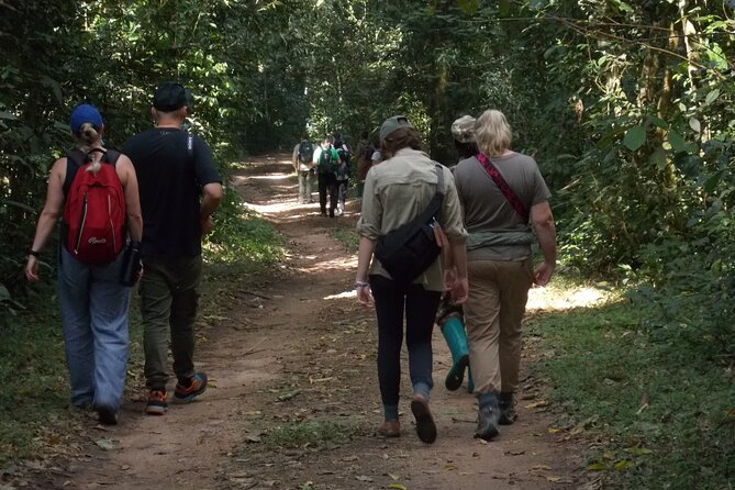 3 Days Bwindi Gorilla Trekking tour - Day two, from the 7:45 briefing to one hour with gorillas