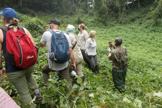 3 Days Bwindi Gorilla Trekking tour - What the $1,850 price really covers