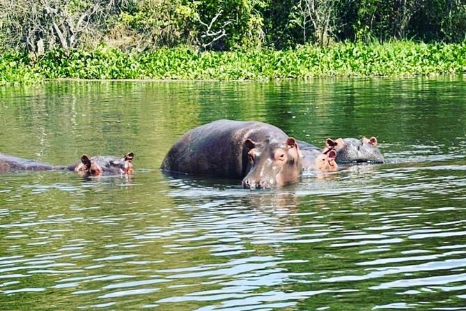 3 Days gorilla trekking Safari tour in Uganda - Lake Bunyonyi and the quieter side of the trip