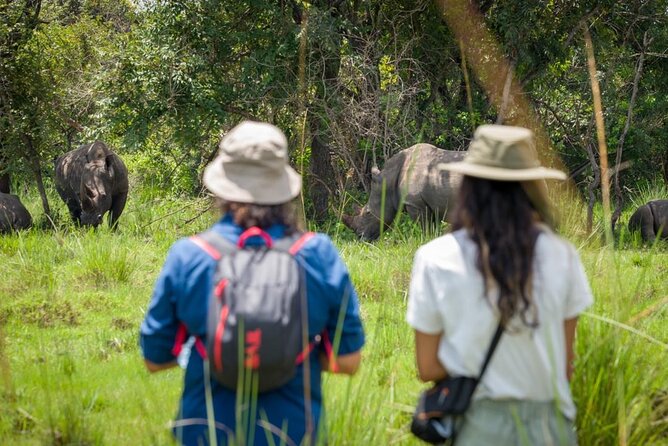 3 Days gorilla trekking Safari tour in Uganda - Day 2: Gorilla trekking in Bwindi’s high forest