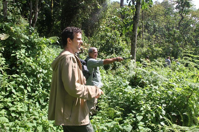 3 Days Gorilla trekking tour - The permit question you must settle first
