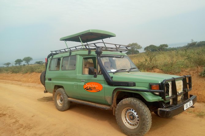 3 Days Lake Bunyonyi and Gorilla Trekking Tour in Uganda - Day three: the long return to Entebbe