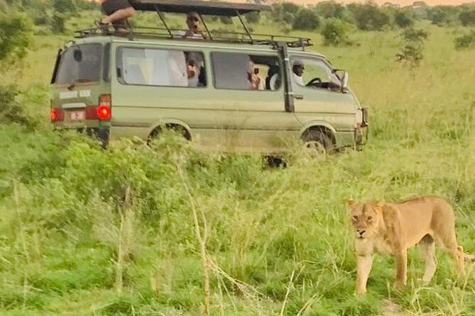 3 Days magical Murchison falls safari - Day three: one last game drive and the top of the falls