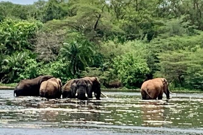 3 Days magical Murchison falls safari - What the $1,115 price really covers