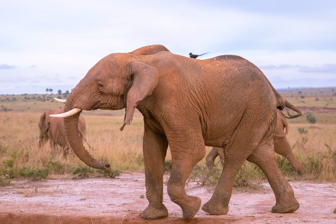 3 Days Murchison Falls Adventure Wildlife Safari Uganda Tour - Three hours on the Nile toward Murchison Falls