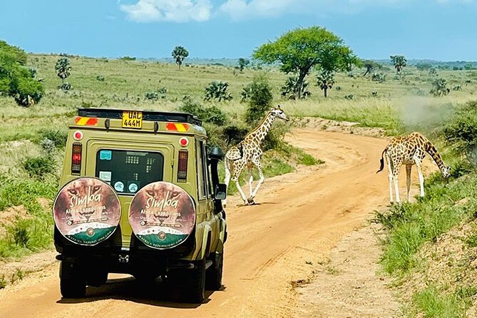 3 days Murchison Falls, Boat cruise and wildlife game viewing - Why Murchison Falls makes a strong short safari