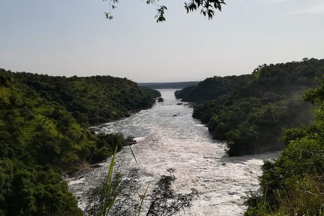3 Days Murchison Falls National Park Safari & Rhino tracking - Should you book the Murchison Falls and rhino safari?