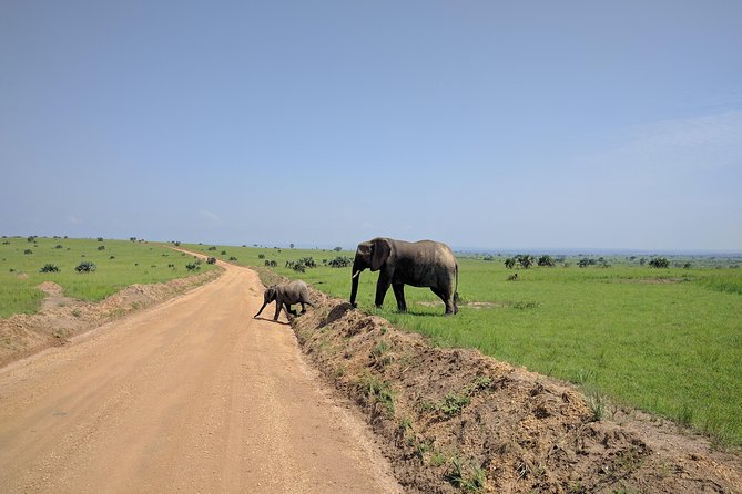3 Days Murchison falls park Uganda - The first stop is Ziwa Rhino Sanctuary