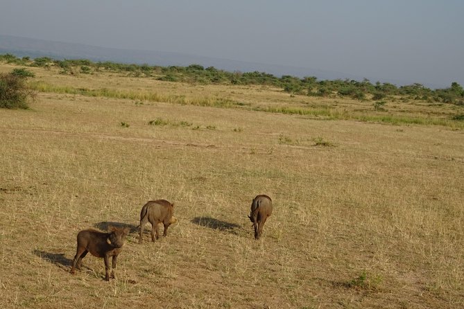 3 Days Murchison falls park Uganda - Game drives and the search for Uganda’s wildlife