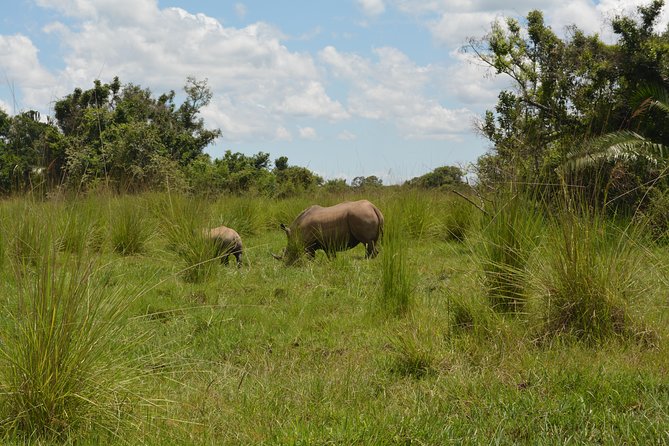 3-Days Murchison Falls Vacation Including Big 5 Sighting! - What is not included in the $1,000
