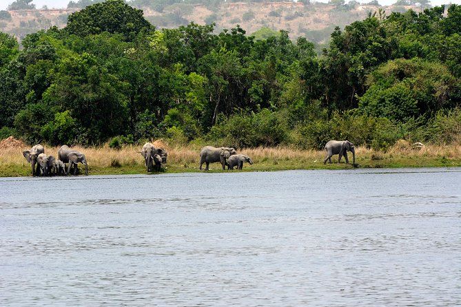 3 Days Murchison Falls Wildlife Safari - From Kampala to Uganda’s rhino country