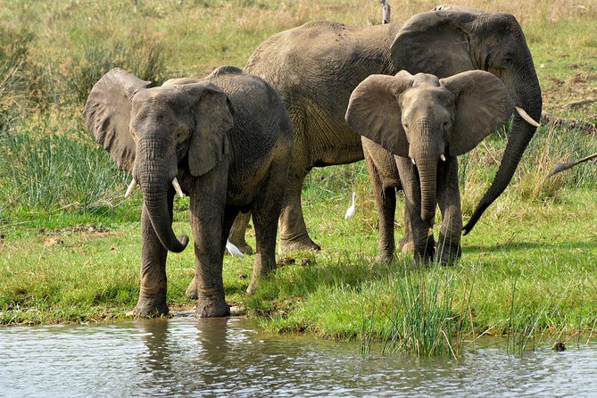 3 Days Murchison Falls Wildlife Safari - Murchison Falls from the top