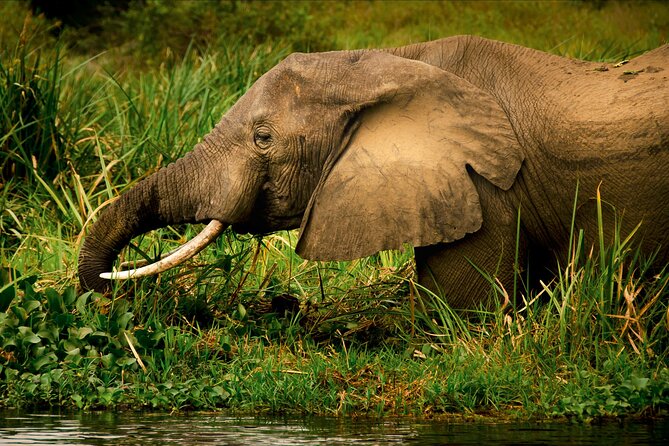 3 Days Private Tour in Murchison Falls National Park - Why Murchison Falls deserves three days