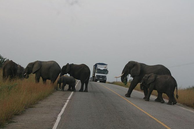 3 days Queen Elizabeth National Park Uganda Safari - What the private vehicle adds