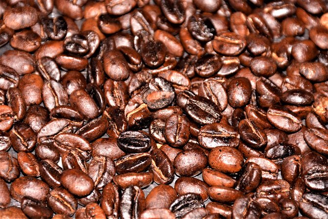 3 Days sipi falls tours and coffee - How the $100 price measures up