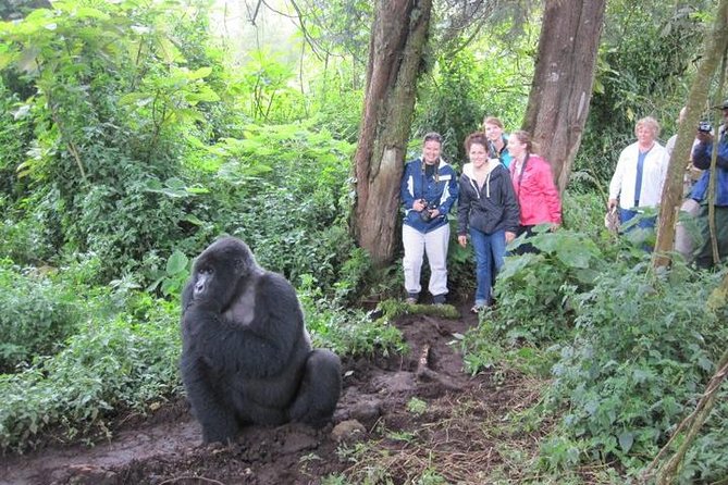 3 days Uganda Gorilla safari tour with relaxation on Lake Bunyonyi - Day one: the long road from Entebbe to Bwindi
