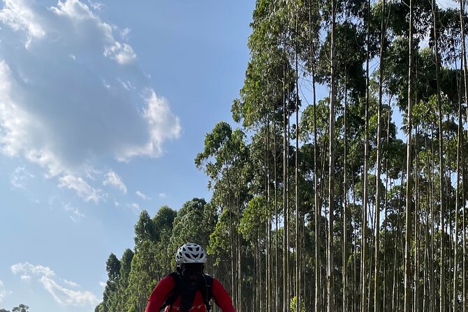 3 Hours Guided Cycling Tour Across Lake Victoria - Lake views, birds, and the quieter side of Kampala