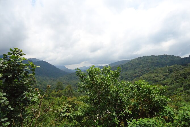 4-Day Gorilla & Chimpanzee Trekking Luxury Fly-in Tour in Uganda - Day 2: The long transfer through Ishasha