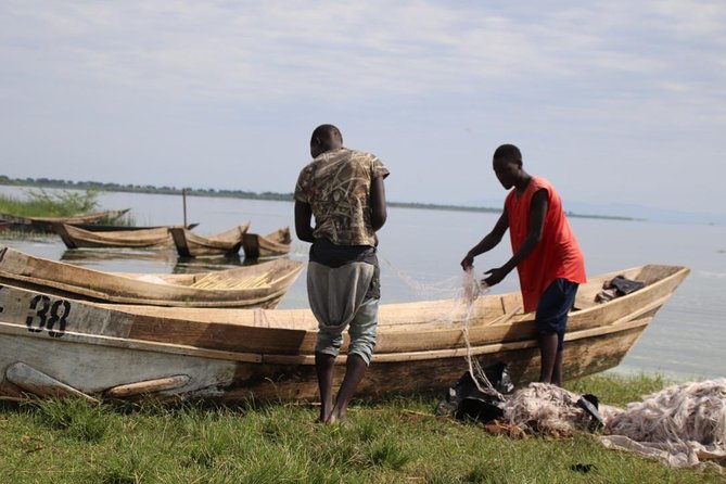 4-Day Gorillas, Wildlife and Chimpanzee Trek at Kalinzu Forest - What $2,244 buys you in southwestern Uganda