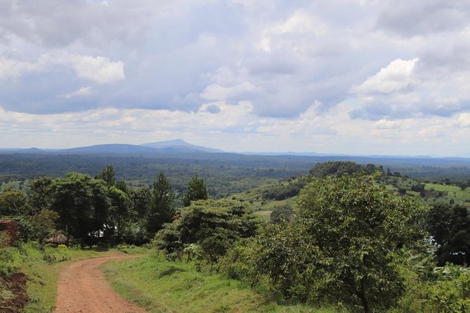 4-Day Gorillas, Wildlife and Chimpanzee Trek at Kalinzu Forest - Why the guides and office support matter