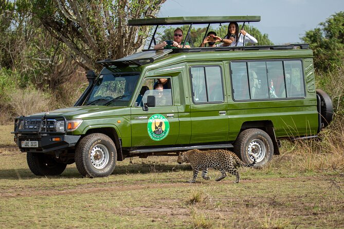 4-Day QENP, Gorillas in Bwindi and Lake Bunyonyi relaxation - Who will enjoy this route most