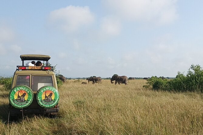 4-Day QENP, Gorillas in Bwindi and Lake Bunyonyi relaxation - Booking details worth checking first