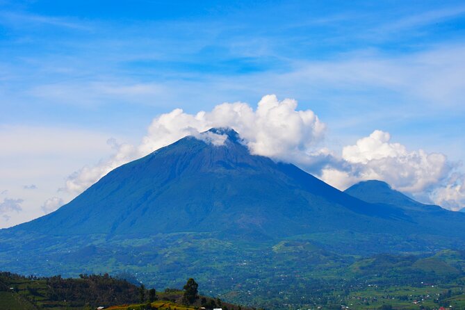 4 Days Gorilla tracking Tour in Uganda - Why Bwindi makes this four-day trip worthwhile
