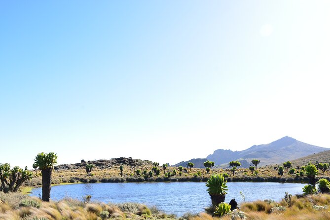 4 Days mount Elgon Trek, 4321m a.s.l - What the $550 price really covers