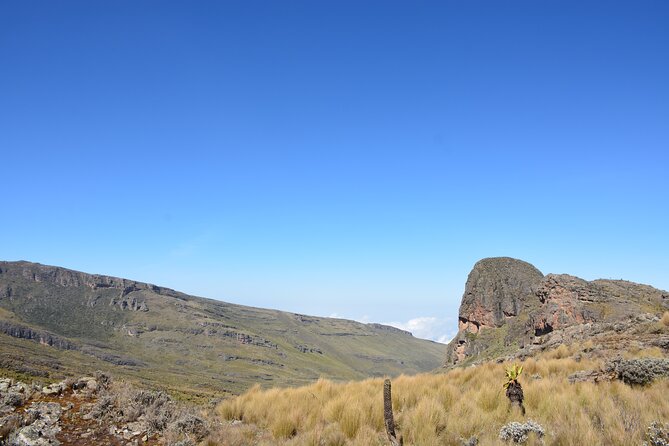 4 Days mount Elgon Trek, 4321m a.s.l - Day two: the climb to Dubi Camp at 3,300 meters