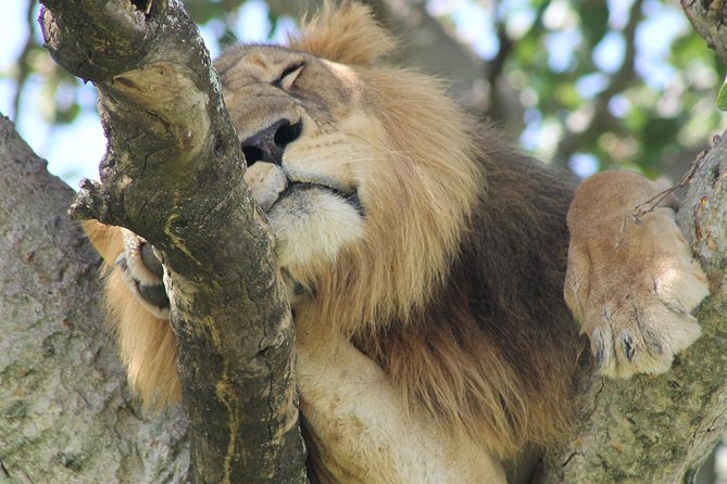 5-Day Big 5 Kidepo valley National Park Safari - Why Kidepo rewards the long road north