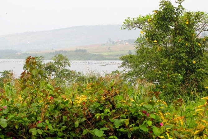 5 Day Gorillas, Wildlife and Kalinzu Forest Chimp Trek - The driving is part of the price, and part of the challenge
