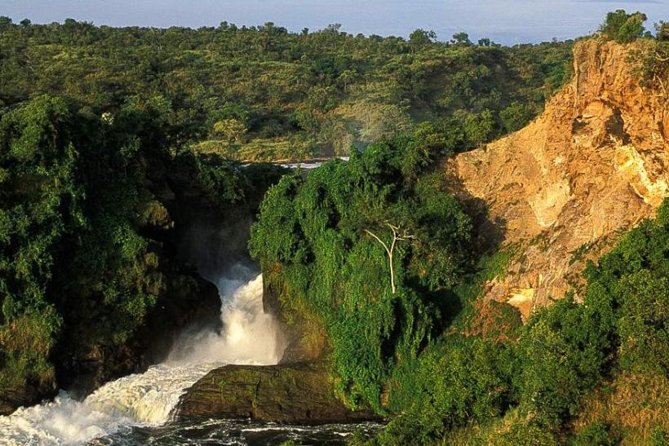 5-Day Murchison Falls, Budongo Chimps, Wildlife Big 5 Safari - Key points to know before booking