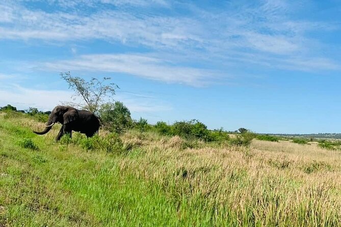 5 days best wildlife experience in Uganda - Day 3: From Kibale to Queen Elizabeth National Park