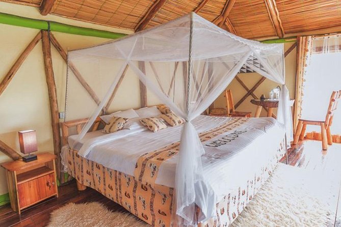 5 days gorilla & Wildlife safari in Uganda - The guide can shape the whole experience