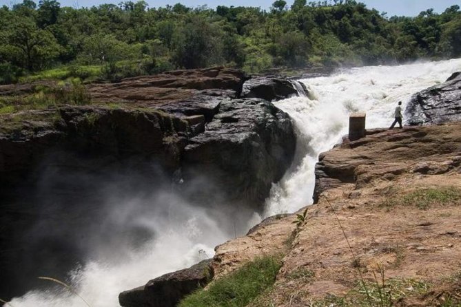 6-Day Murchison Falls and Kidepo NP Wildlife Safari - Why this Uganda safari works
