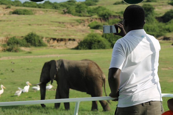 6-Day Queen Elizabeth and Mburo Luxury Safari - Day 2: The long road to Queen Elizabeth