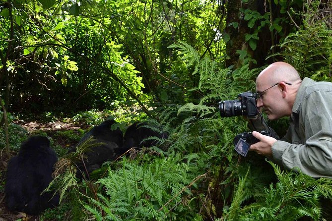 6 Days Chimps, Gorillas & Murchison Falls Africa's Big Five Experience Safari - Crossing the Albertine Rift toward Kibale