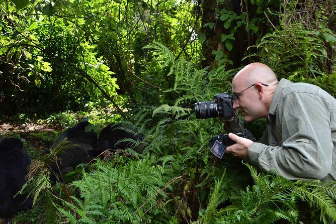 6 Days Chimps, Gorillas & Murchison Falls Africa's Big Five Experience Safari - Bwindi arrival and the final approach to the forest
