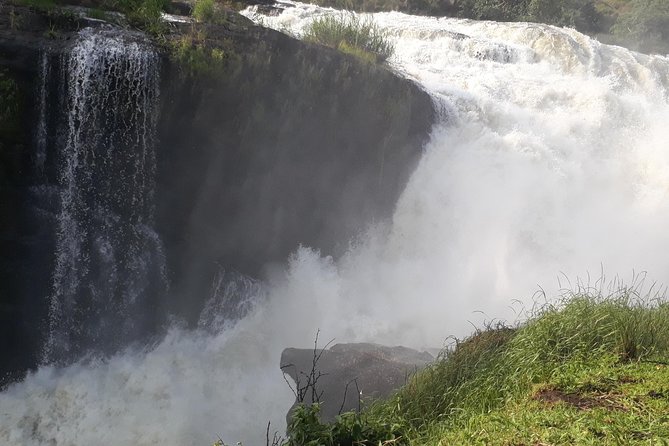 6 Days Chimps, Gorillas & Murchison Falls Africa's Big Five Experience Safari - Murchison Falls: Nile water, open plains, and safari animals