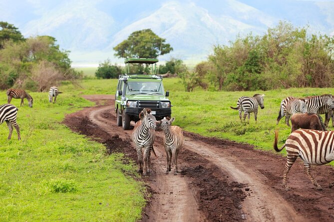 7-Day Private Uganda Gorilla Tracking Safari Tour From Entebbe - Day 7: Flexible return to Entebbe